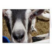 Is dat cameravoedsel? (Voorkant Horizontaal)