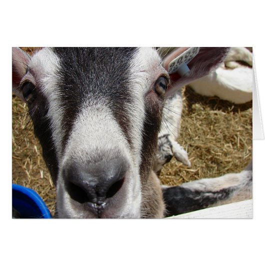 Is dat cameravoedsel? (Voorkant Horizontaal)