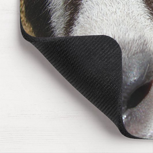 Is dat cameravoedsel? muismat (Hoek)