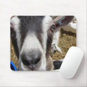 Is dat cameravoedsel? muismat (Met muis)