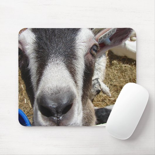 Is dat cameravoedsel? muismat (Met muis)