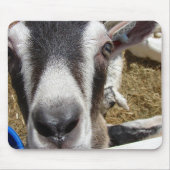 Is dat cameravoedsel? muismat (Voorkant)