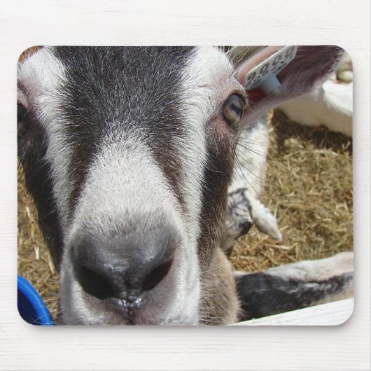 Is dat cameravoedsel? muismat (Voorkant)