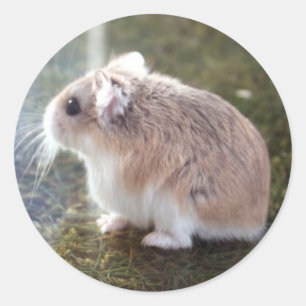 'Is dat een bij?' - Tac Sticker