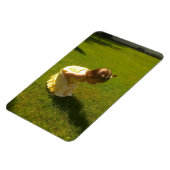 Is dat een sprinkhaan? Ginger Leigh Premium Flexi Magneet (Linkerzijde)