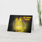 Is dat je grappige vissen goed worden? kaart (Voorkant)