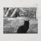 Is dat mij? briefkaart (Voorkant)