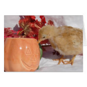 Is dat voedsel? (Voorkant Horizontaal)