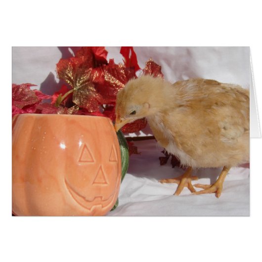 Is dat voedsel? (Voorkant Horizontaal)