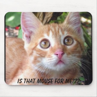 Is die muis voor mij? muismat
