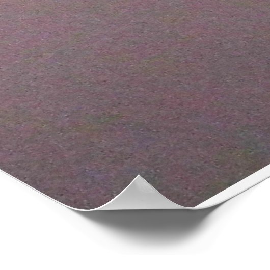 IS DIT HET? POEM-poster Poster (Hoek)