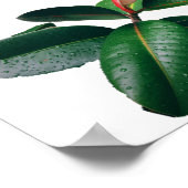 IS DIT HET? POEM-poster Poster (Hoek)