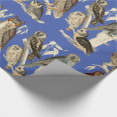 Is eigenaar van Glossy Wrapping Paper Cadeaupapier (Hoek)