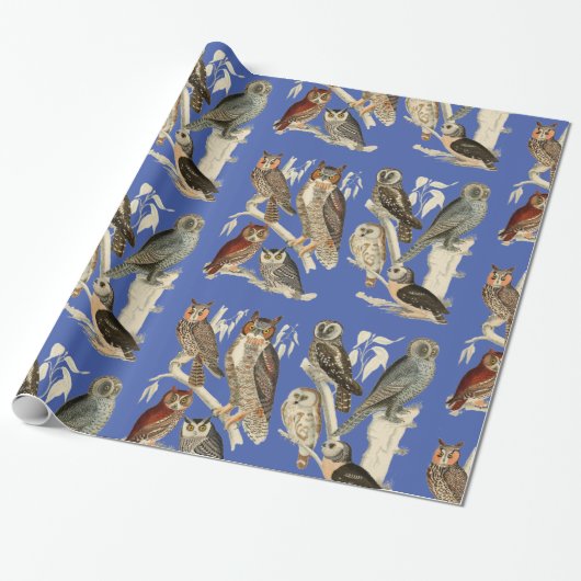 Is eigenaar van Glossy Wrapping Paper Cadeaupapier (Uitgerold)