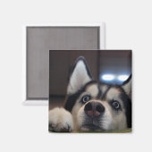 Is er iemand daarbuiten? magneet (Voorkant / Achterkant)