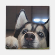 Is er iemand daarbuiten?