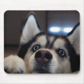 Is er iemand daarbuiten? muismat (Voorkant)