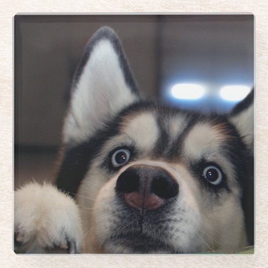 Is er iemand? glazen onderzetter (Voorkant)