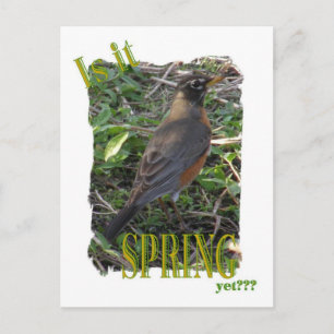 Is het al een lente? briefkaart