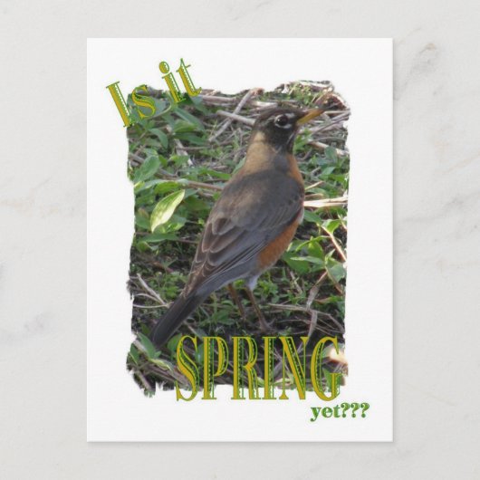 Is het al een lente? briefkaart (Voorkant)