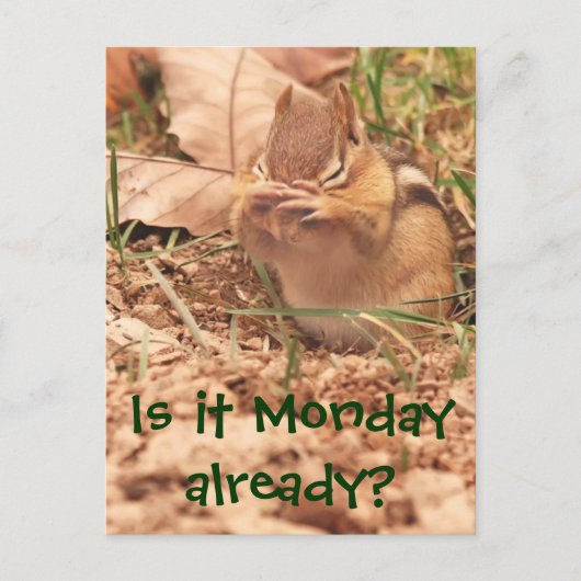 Is het al maandag? Chipmunk Briefkaart (Voorkant)