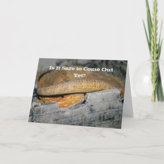 Is het al veilig? baardagaam kaart (Voorkant)