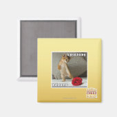 Is het beoefenen van mah tango magneet (Voorkant / Achterkant)