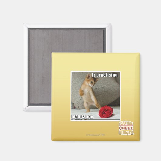 Is het beoefenen van mah tango magneet (Voorkant / Achterkant)