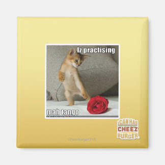 Is het beoefenen van mah tango magneet