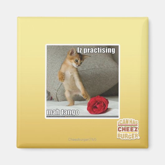 Is het beoefenen van mah tango magneet (Voorkant)