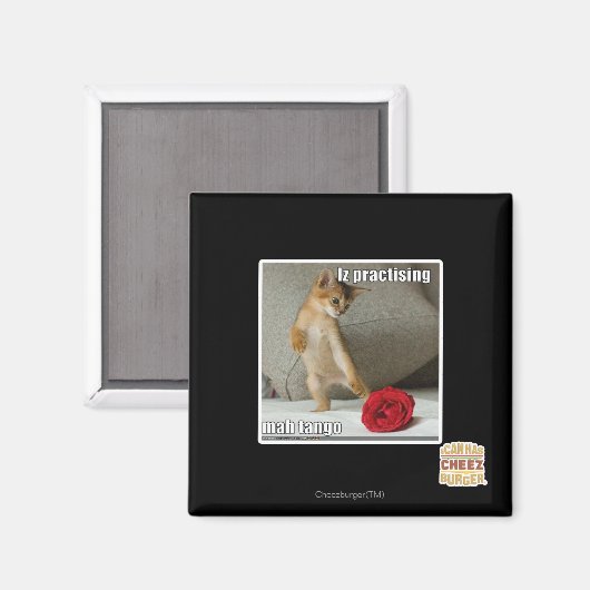 Is het beoefenen van mah tango magneet (Voorkant / Achterkant)