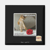 Is het beoefenen van mah tango magneet (Voorkant)