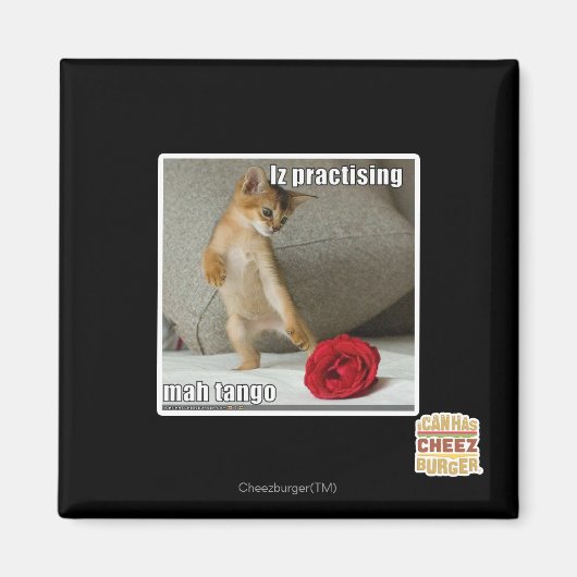 Is het beoefenen van mah tango magneet (Voorkant)