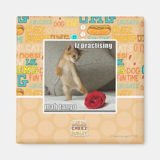 Is het beoefenen van mah tango magneet (Voorkant)