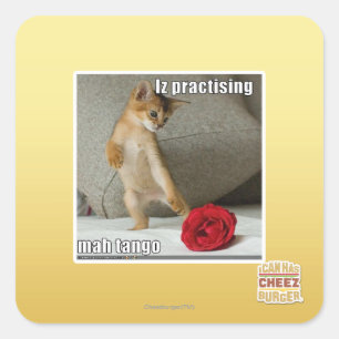 Is het beoefenen van mah tango vierkante sticker