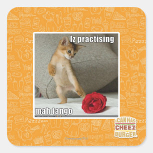 Is het beoefenen van mah tango vierkante sticker