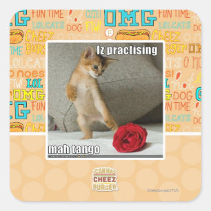 Is het beoefenen van mah tango vierkante sticker