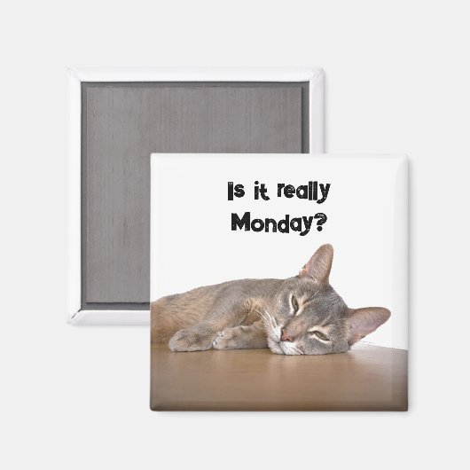 Is het echt maandag? Grappige Abyssinian Cat Meme Magneet (Voorkant / Achterkant)