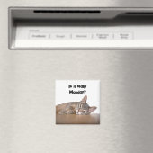 Is het echt maandag? Grappige Abyssinian Cat Meme Magneet (Insitu (Vaatwasser))