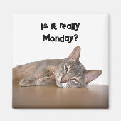 Is het echt maandag? Grappige Abyssinian Cat Meme Magneet (Voorkant)