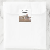 Is het echt maandag? Grappige Abyssinian Cat Meme Vierkante Sticker (Tas)