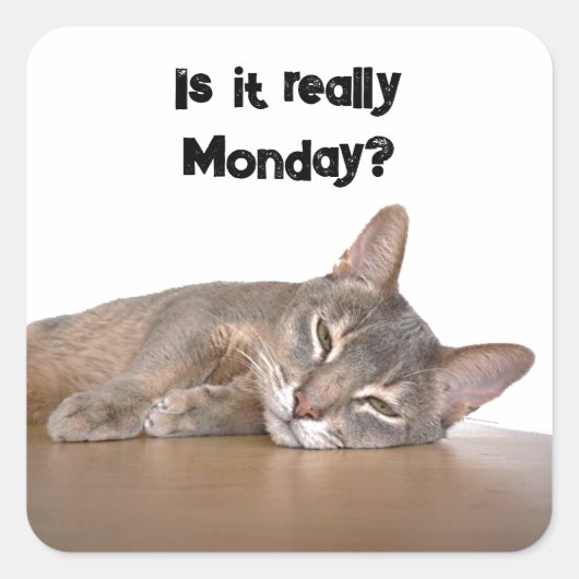 Is het echt maandag? Grappige Abyssinian Cat Meme Vierkante Sticker (Voorkant)