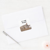 Is het echt maandag? Grappige Abyssinian Cat Meme Vierkante Sticker (Envelop)