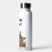 Is het echt maandag? Grappige Abyssinian Cat Meme Waterfles (Links)