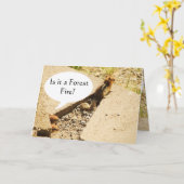 Is het een bosbrand? kaart (Gele Bloem)