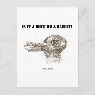 Is het een eend of een konijn? (optische illusie) briefkaart