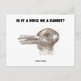 Is het een eend of een konijn? (optische illusie) briefkaart