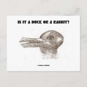 Is het een eend of een konijn? (optische illusie) briefkaart