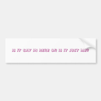 IS HET HIER GAY OF IS HET ME ALLEEN? BUMPERSTICKER