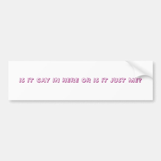 IS HET HIER GAY OF IS HET ME ALLEEN? BUMPERSTICKER (Voorkant)